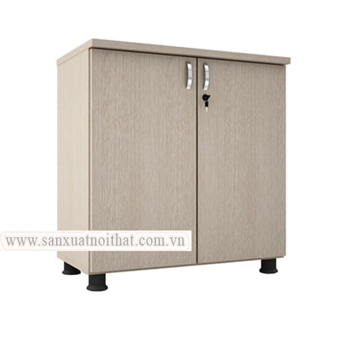 Tủ đựng hồ sơ văn phòng SM6220